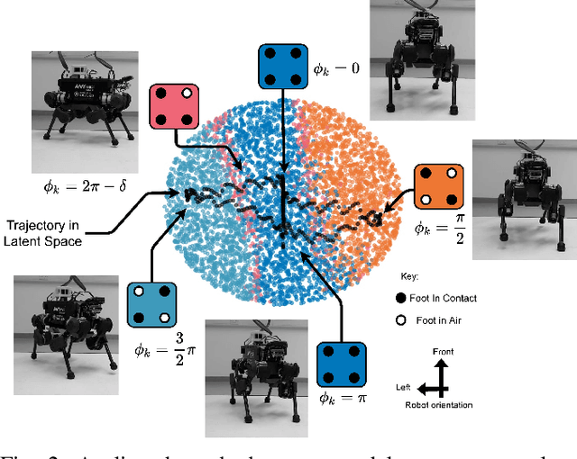 Figure 2 for Next Steps: Learning a Disentangled Gait Representation for Versatile Quadruped Locomotion