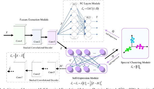 Figure 1 for Self-Supervised Convolutional Subspace Clustering Network