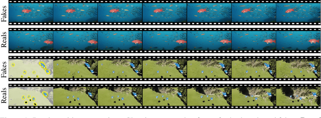 Figure 1 for Hierarchical Patch VAE-GAN: Generating Diverse Videos from a Single Sample