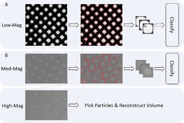 Figure 1 for Learning to automate cryo-electron microscopy data collection with Ptolemy