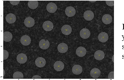 Figure 4 for Learning to automate cryo-electron microscopy data collection with Ptolemy
