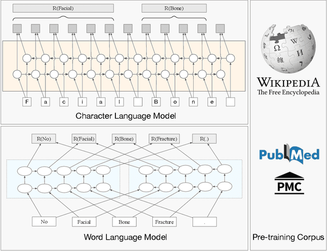 Figure 1 for Clinical Named Entity Recognition using Contextualized Token Representations