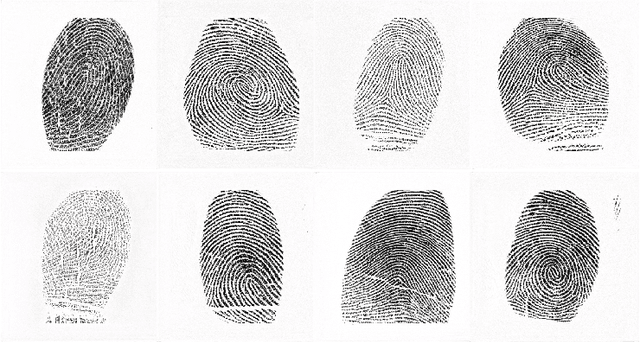 Figure 1 for High Fidelity Fingerprint Generation: Quality, Uniqueness, and Privacy