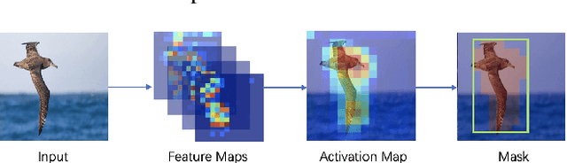 Figure 3 for Three-branch and Mutil-scale learning for Fine-grained Image Recognition (TBMSL-Net)