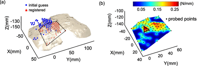 Figure 2 for Using Bayesian Optimization to Guide Probing of a Flexible Environment for Simultaneous Registration and Stiffness Mapping