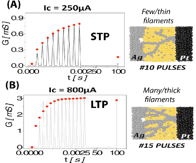 Figure 1 for Exploiting the Short-term to Long-term Plasticity Transition in Memristive Nanodevice Learning Architectures