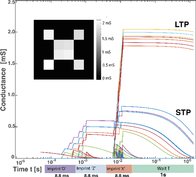Figure 3 for Exploiting the Short-term to Long-term Plasticity Transition in Memristive Nanodevice Learning Architectures