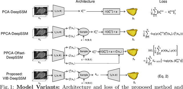 Figure 1 for From Images to Probabilistic Anatomical Shapes: A Deep Variational Bottleneck Approach