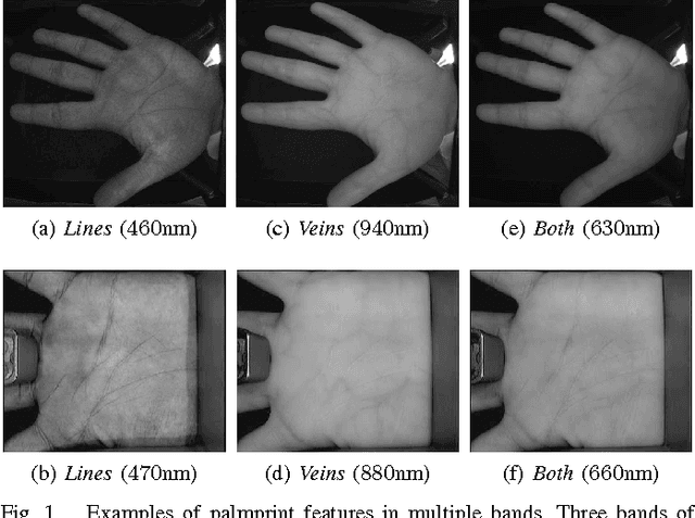 Figure 1 for Multispectral Palmprint Encoding and Recognition