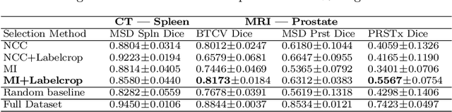 Figure 2 for The Power of Proxy Data and Proxy Networks for Hyper-Parameter Optimization in Medical Image Segmentation