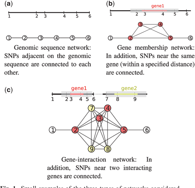 Figure 1 for Efficient network-guided multi-locus association mapping with graph cuts