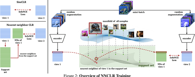 Figure 3 for With a Little Help from My Friends: Nearest-Neighbor Contrastive Learning of Visual Representations