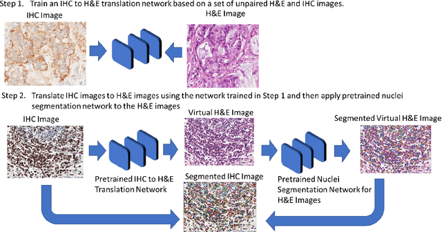 Figure 1 for Image Translation Based Nuclei Segmentation for Immunohistochemistry Images