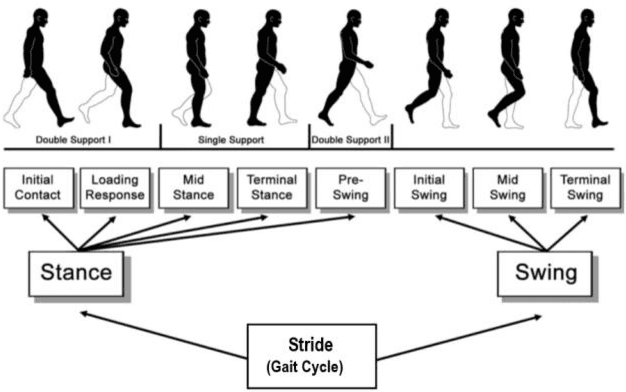 Figure 4 for 3D Convolution Neural Network based Person Identification using Gait cycles