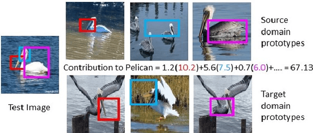 Figure 1 for Explainable Supervised Domain Adaptation