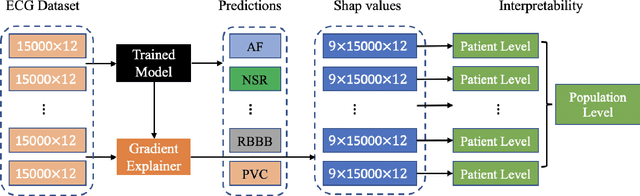 Figure 3 for Interpretable Deep Learning for Automatic Diagnosis of 12-lead Electrocardiogram