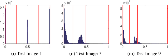 Figure 3 for Chan-Vese Reformulation for Selective Image Segmentation