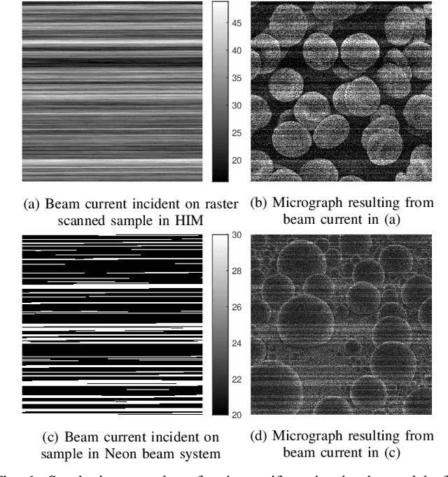 Figure 1 for Online Beam Current Estimation in Particle Beam Microscopy