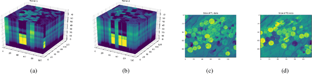 Figure 1 for Point-to-set distance functions for weakly supervised segmentation