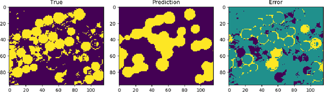 Figure 2 for Point-to-set distance functions for weakly supervised segmentation