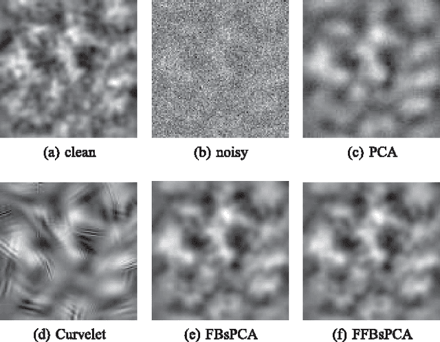 Figure 2 for Fast Steerable Principal Component Analysis