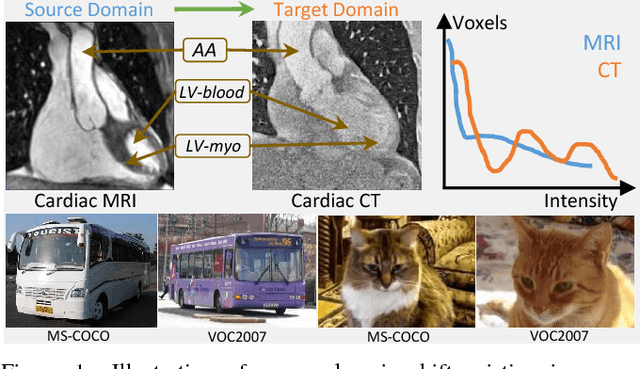 Figure 1 for Unsupervised Cross-Modality Domain Adaptation of ConvNets for Biomedical Image Segmentations with Adversarial Loss