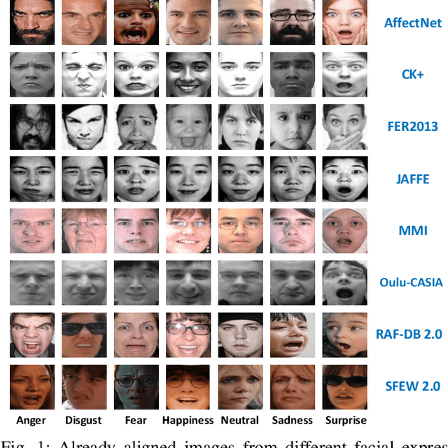 Figure 1 for A Deeper Look at Facial Expression Dataset Bias