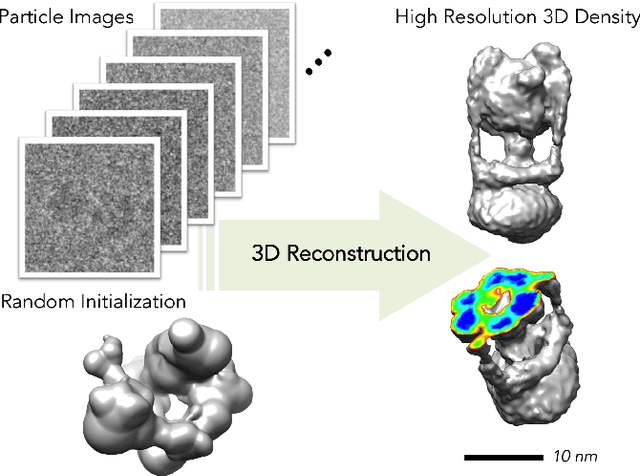 Figure 1 for Building Proteins in a Day: Efficient 3D Molecular Reconstruction