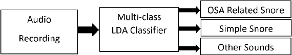 Figure 2 for Automatic Classification of OSA related Snoring Signals from Nocturnal Audio Recordings