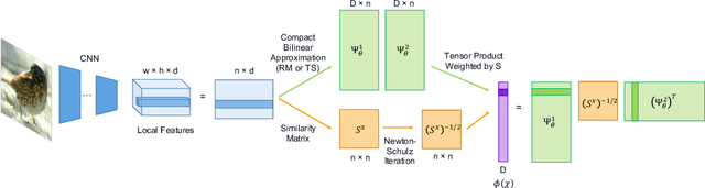 Figure 1 for Compact Approximation for Polynomial of Covariance Feature