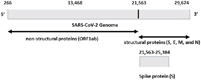 Figure 1 for Classifying COVID-19 Spike Sequences from Geographic Location Using Deep Learning