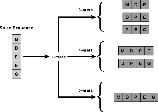 Figure 3 for Classifying COVID-19 Spike Sequences from Geographic Location Using Deep Learning