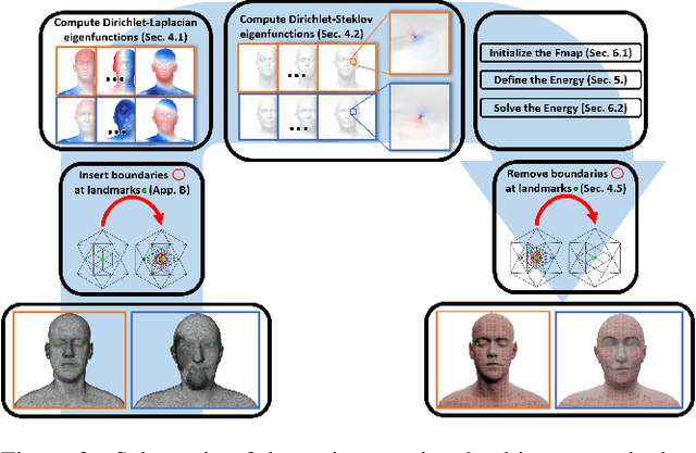 Figure 2 for Non-Isometric Shape Matching via Functional Maps on Landmark-Adapted Bases