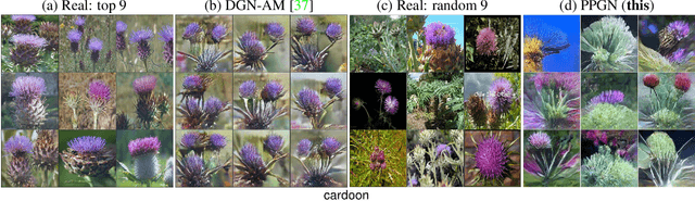 Figure 2 for Plug & Play Generative Networks: Conditional Iterative Generation of Images in Latent Space