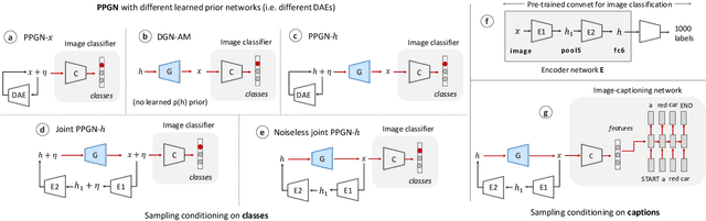 Figure 3 for Plug & Play Generative Networks: Conditional Iterative Generation of Images in Latent Space
