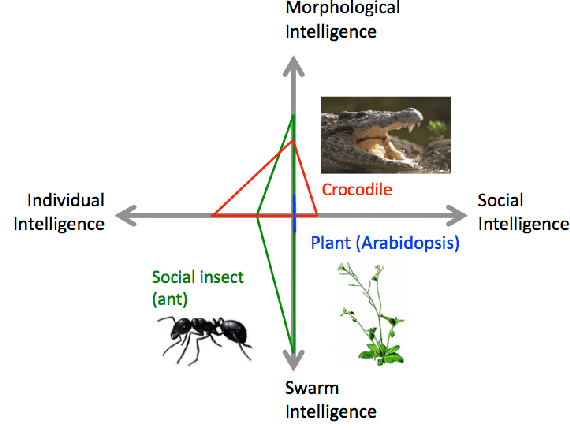 Figure 2 for How Intelligent is your Intelligent Robot?