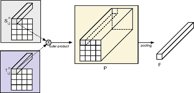 Figure 1 for Exploiting Temporal Information for DCNN-based Fine-Grained Object Classification