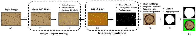 Figure 3 for Pollen13K: A Large Scale Microscope Pollen Grain Image Dataset