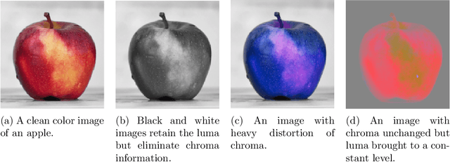 Figure 3 for The Human Visual System and Adversarial AI