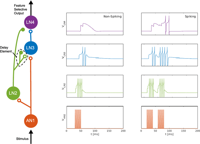 Figure 1 for Synaptic Delays for Temporal Feature Detection in Dynamic Neuromorphic Processors