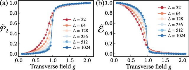 Figure 3 for Topological Persistence Machine of Phase Transitions