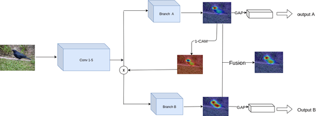 Figure 3 for Hierarchical Complementary Learning for Weakly Supervised Object Localization
