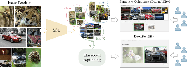 Figure 1 for Quantifying Learnability and Describability of Visual Concepts Emerging in Representation Learning