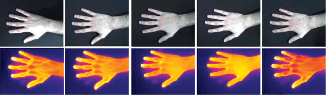 Figure 3 for Thermal hand image segmentation for biometric recognition