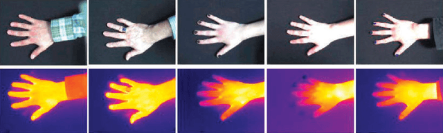 Figure 4 for Thermal hand image segmentation for biometric recognition