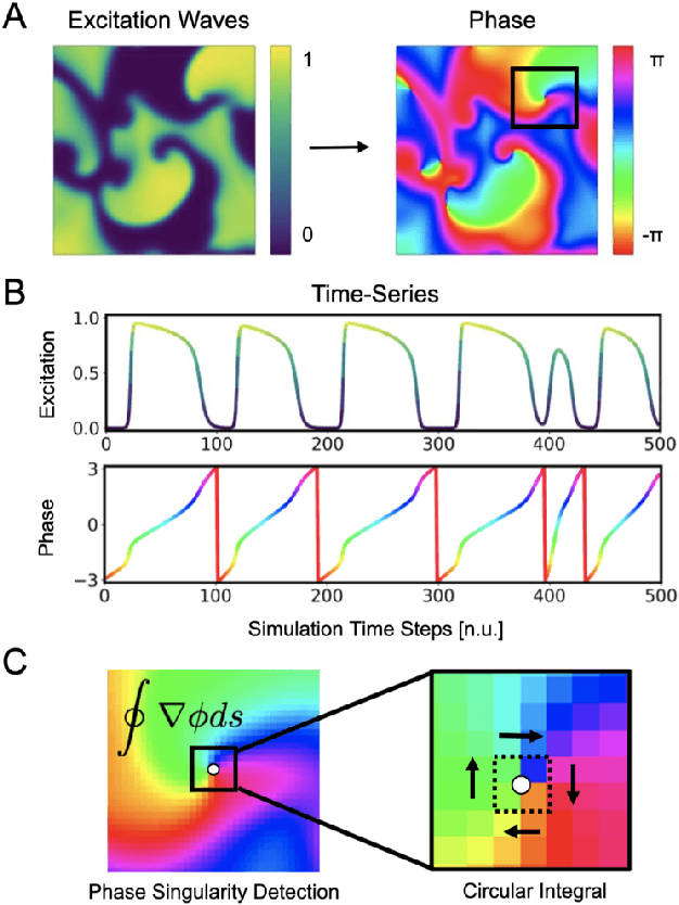 Figure 1 for Rotor Localization and Phase Mapping of Cardiac Excitation Waves using Deep Neural Networks
