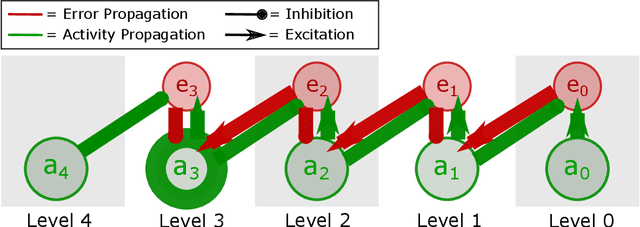Figure 1 for Tightening the Biological Constraints on Gradient-Based Predictive Coding