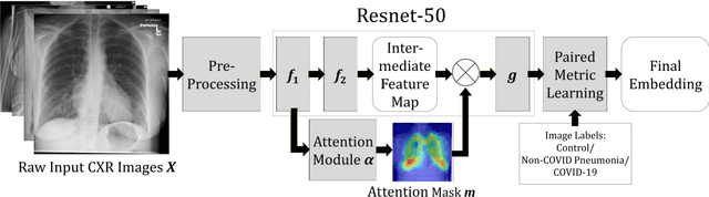 Figure 1 for Deep Metric Learning-based Image Retrieval System for Chest Radiograph and its Clinical Applications in COVID-19