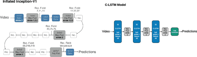 Figure 1 for Interpreting video features: a comparison of 3D convolutional networks and convolutional LSTM networks