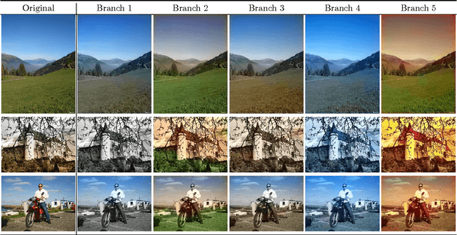 Figure 3 for Multiple Hypothesis Colorization